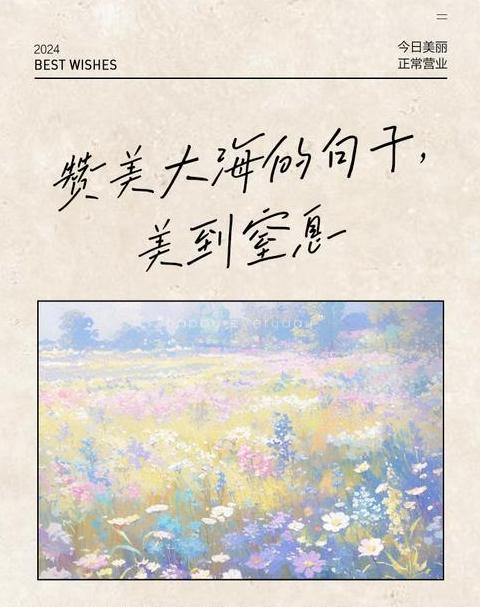 赞大海美句