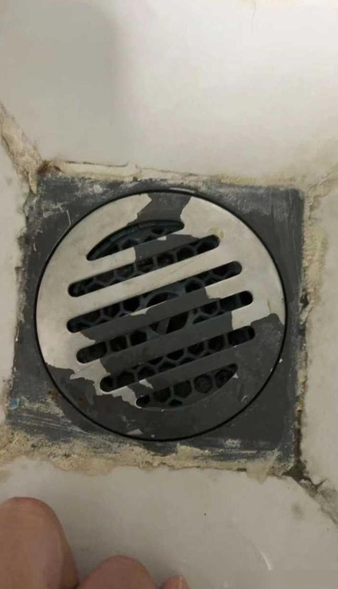 地漏防臭芯掉下水道里
