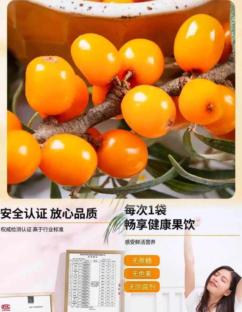 水果沙棘原浆好吗
