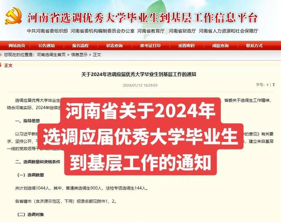 非定向选调生两年后