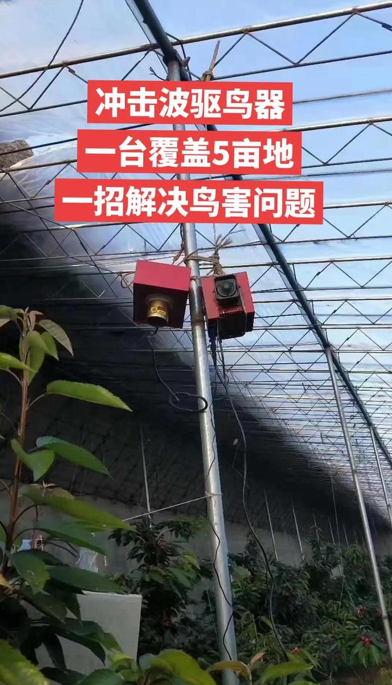 电子驱鸟器的效果怎样啊
