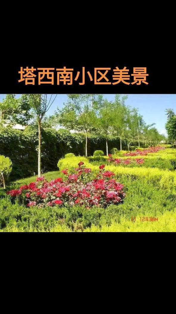 塔西南油田小区