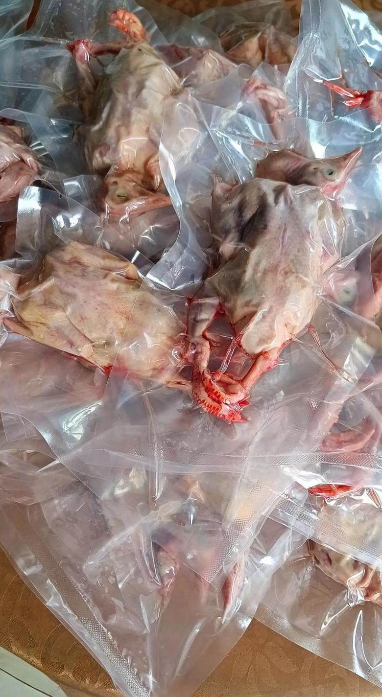真空鲜肉能保存多久