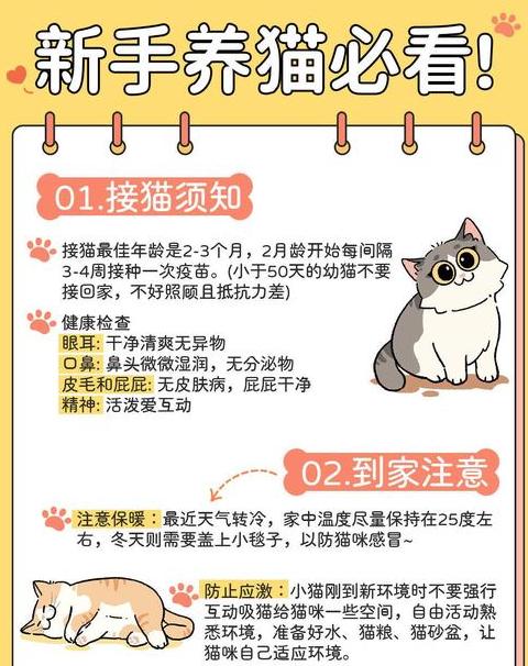 养猫的好处和坏处注意事项
