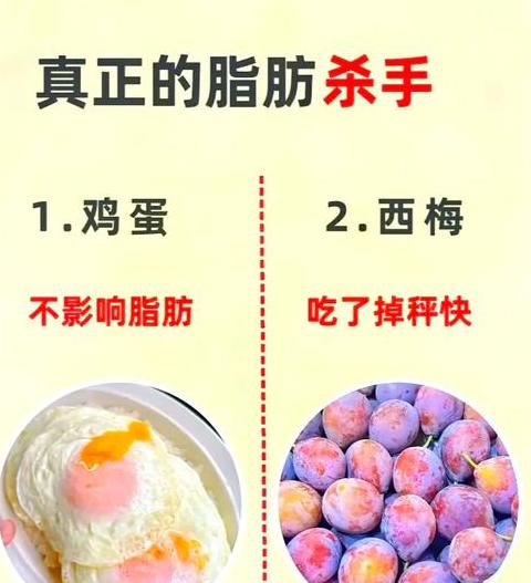 脂肪的克星第一名