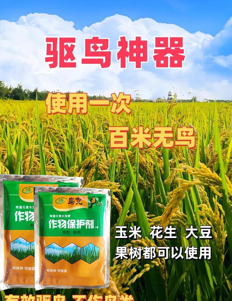 驱鸟用什么办法最好