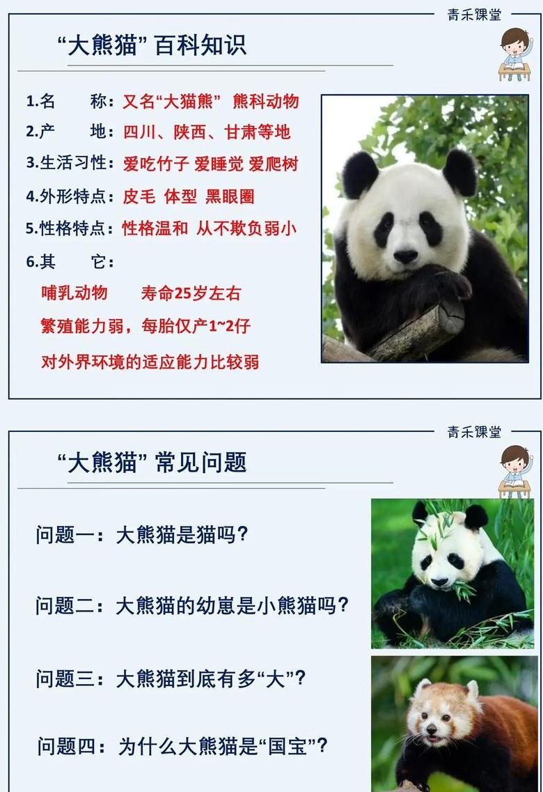 大熊猫的数据资料