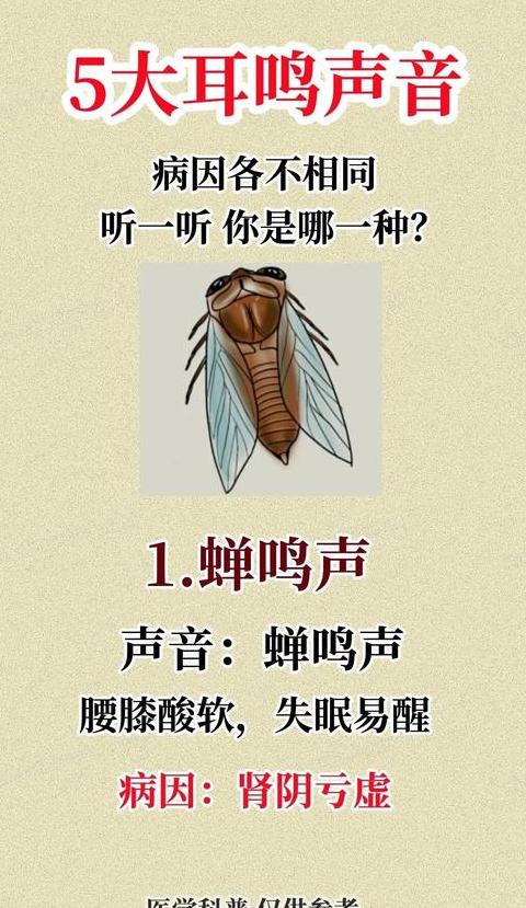 耳鸣像蝉鸣是什么原因?