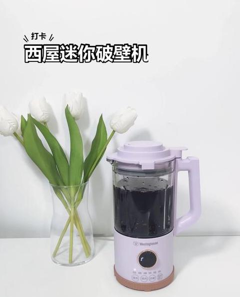 买迷你破壁机该怎么选
